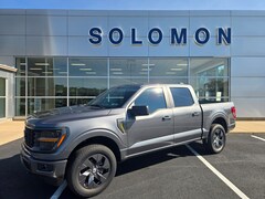 2025 Ford F-150 STX TRUCK