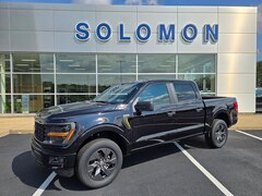 2025 Ford F-150 STX TRUCK