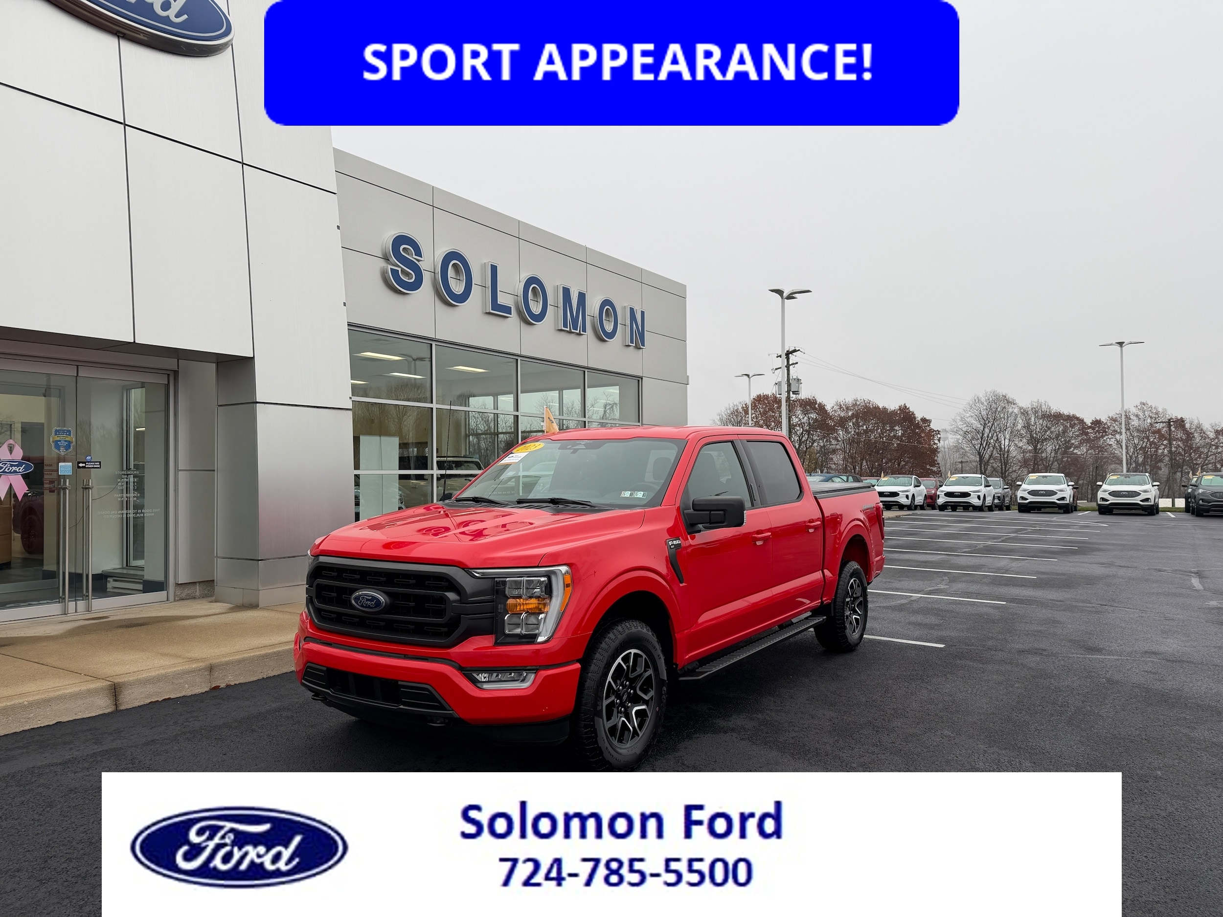 2023 Ford F-150 XLT's photo