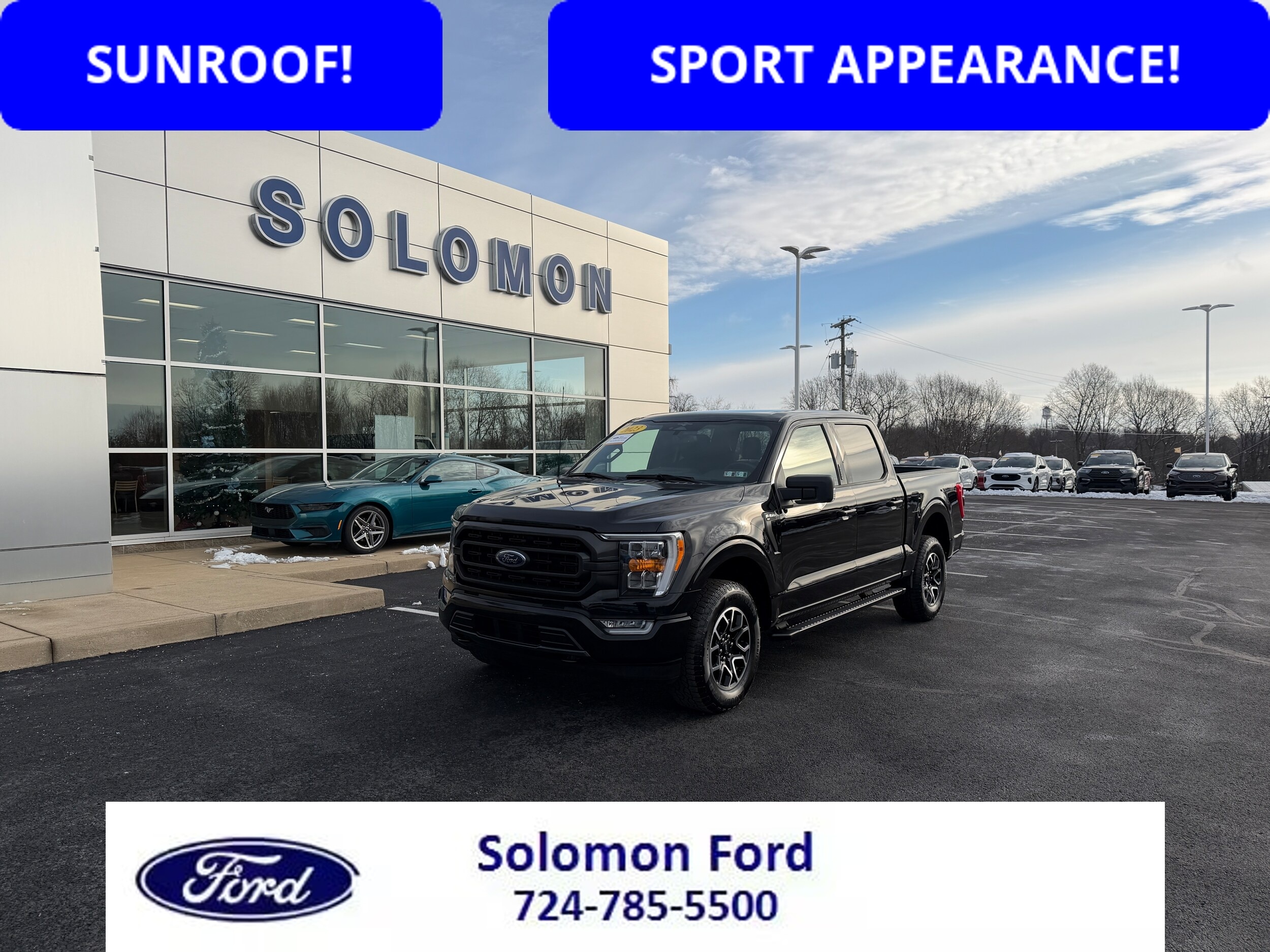 2023 Ford F-150 XLT's photo