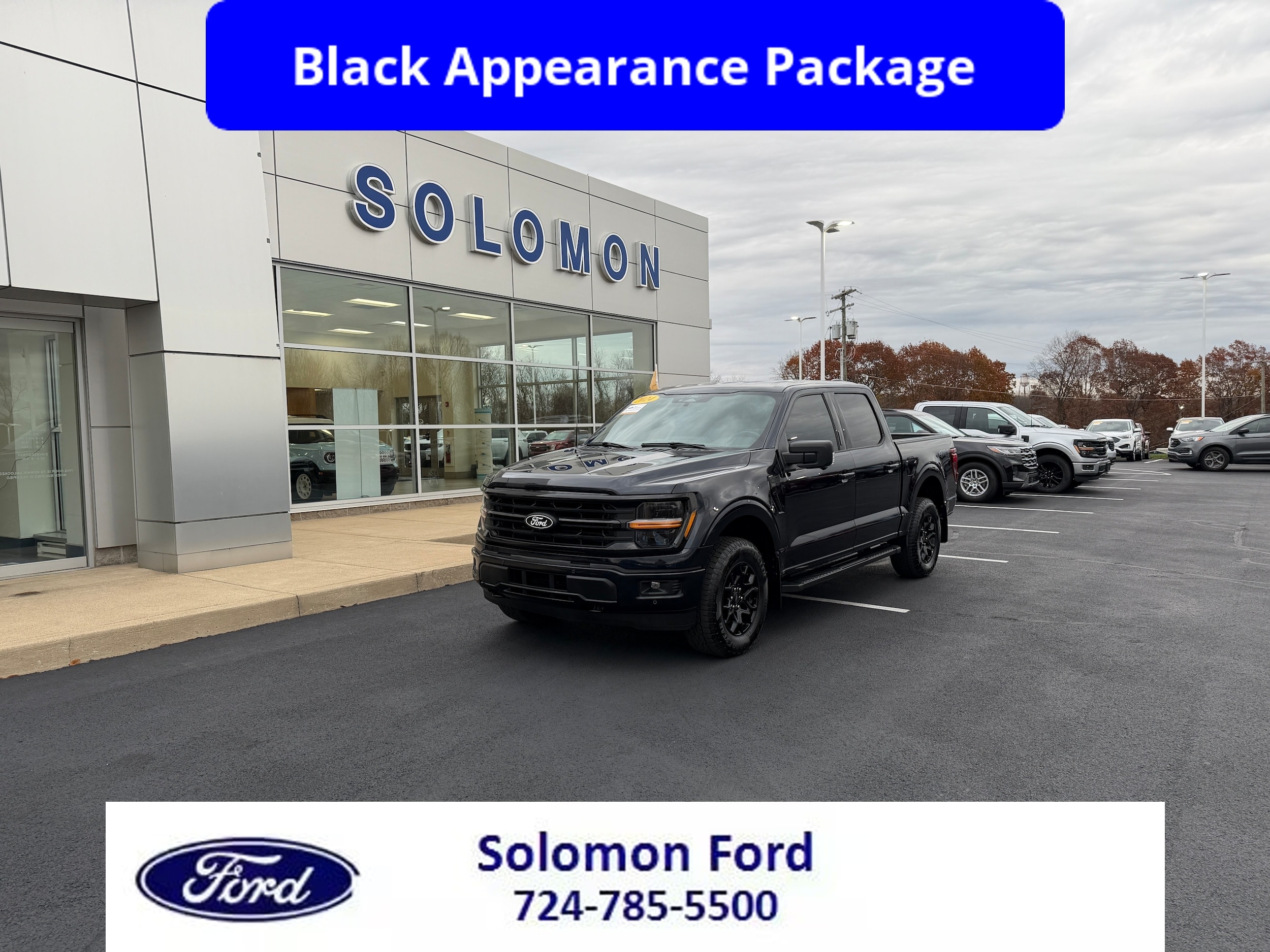 2024 Ford F-150 XLT's photo