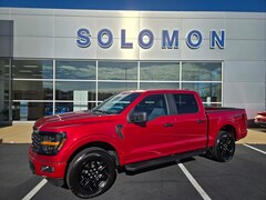 2025 Ford F-150 STX TRUCK