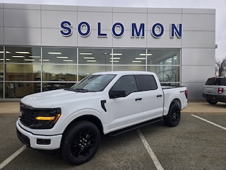 2025 Ford F-150 STX TRUCK