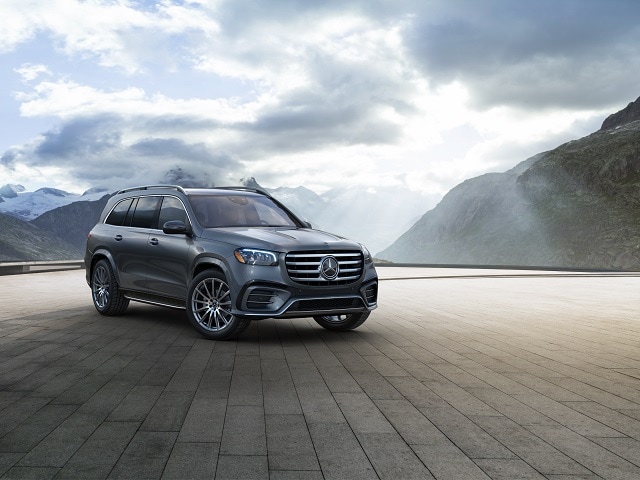 Grey Mercedes-Benz GLS parked by a foggy overlook