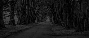 New Mercedes-Benz Model Line Up | Mercedes-Benz of Walnut Creek