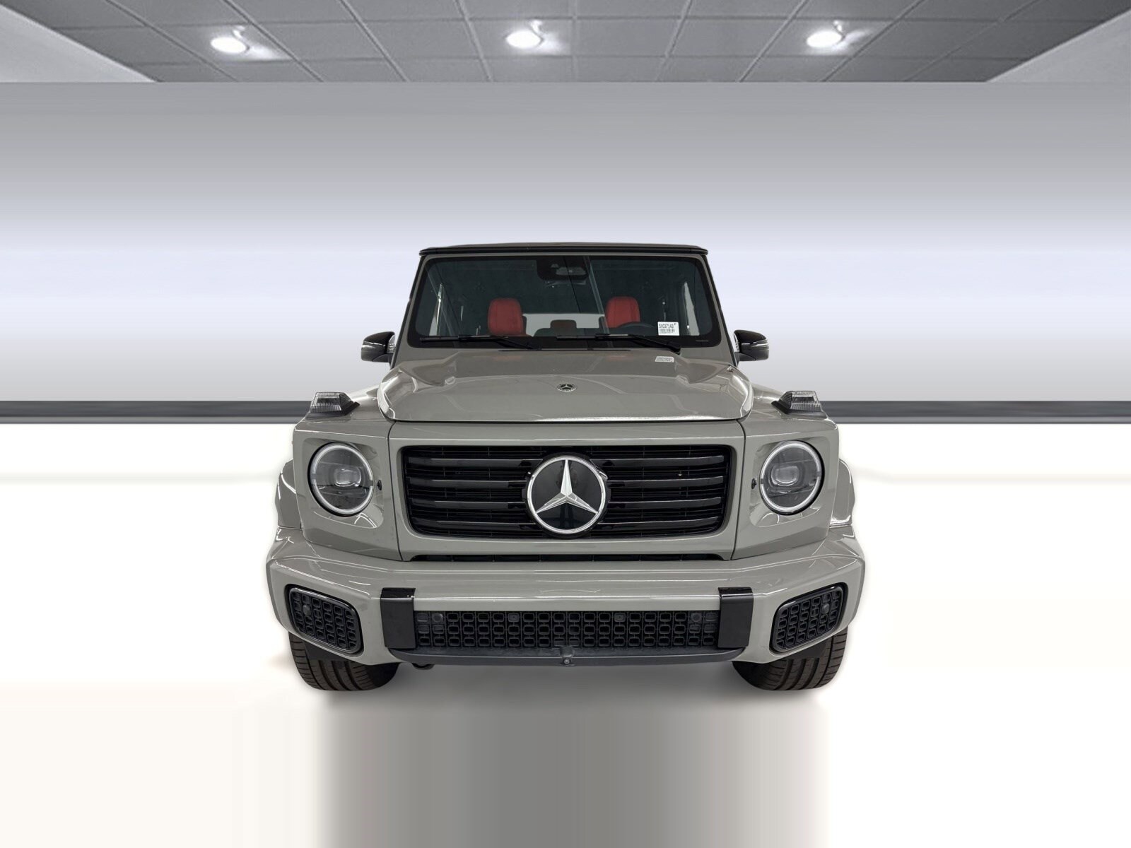 2025 Mercedes-Benz G-Class G580 - Photo 6