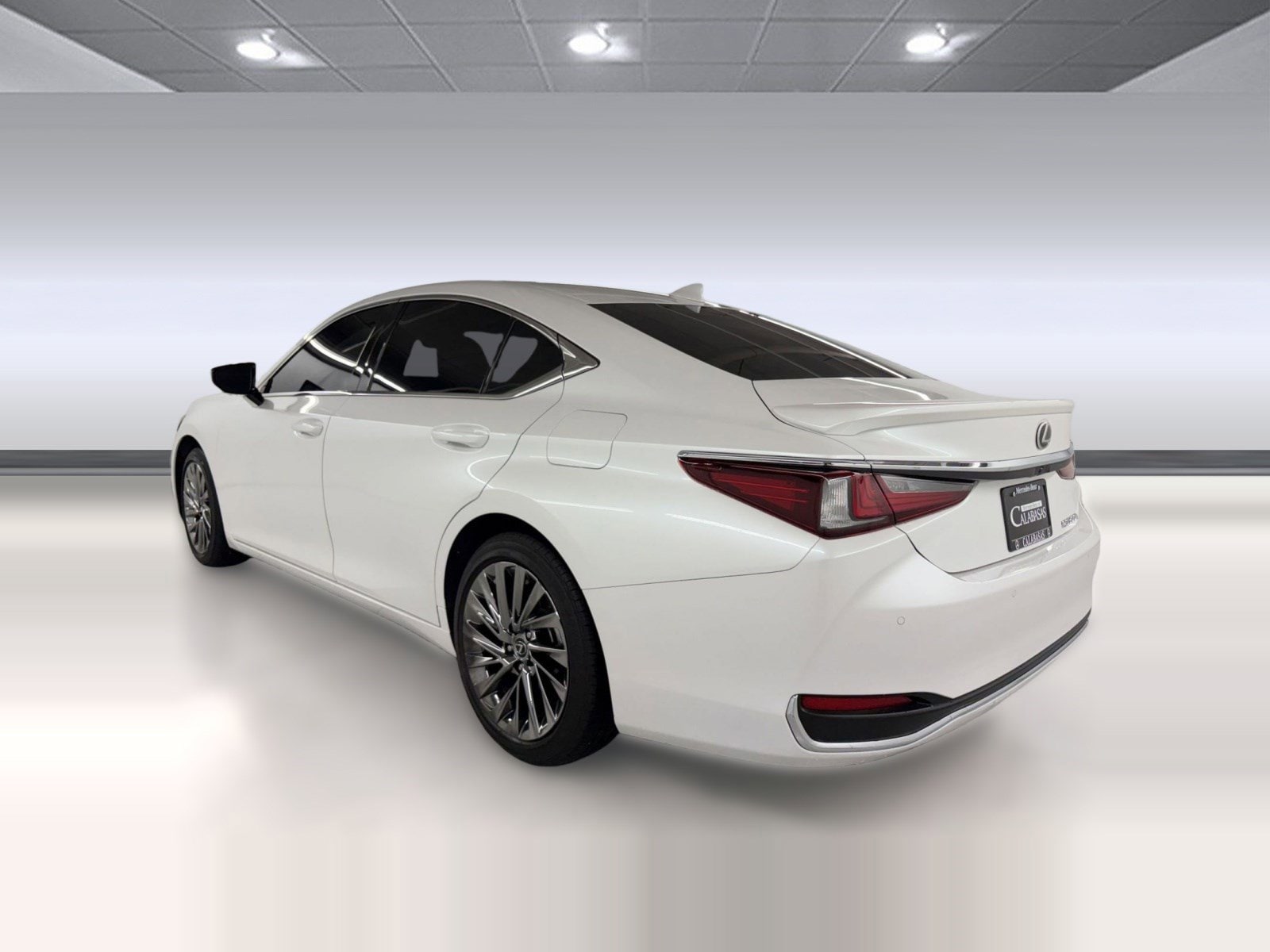 2025 LEXUS ES 300h Luxury photo 2