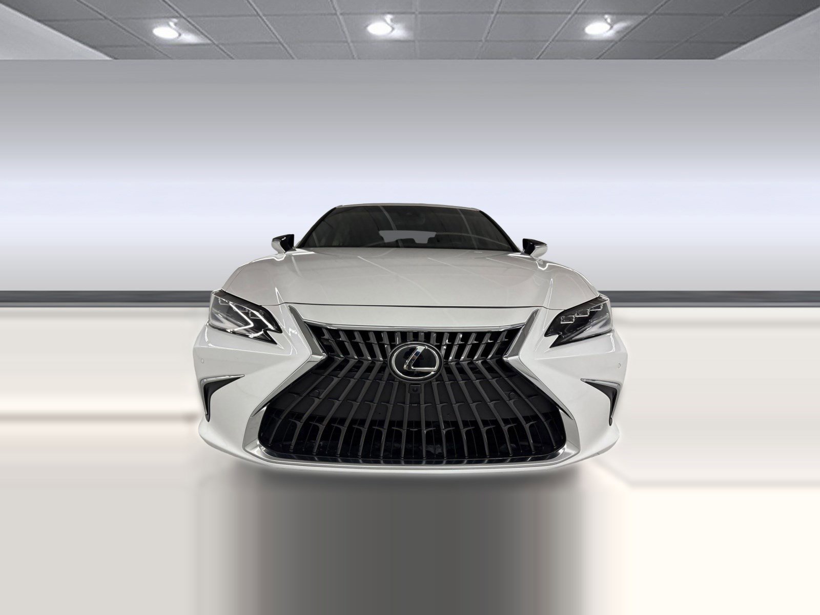 2025 LEXUS ES 300h Luxury photo 5