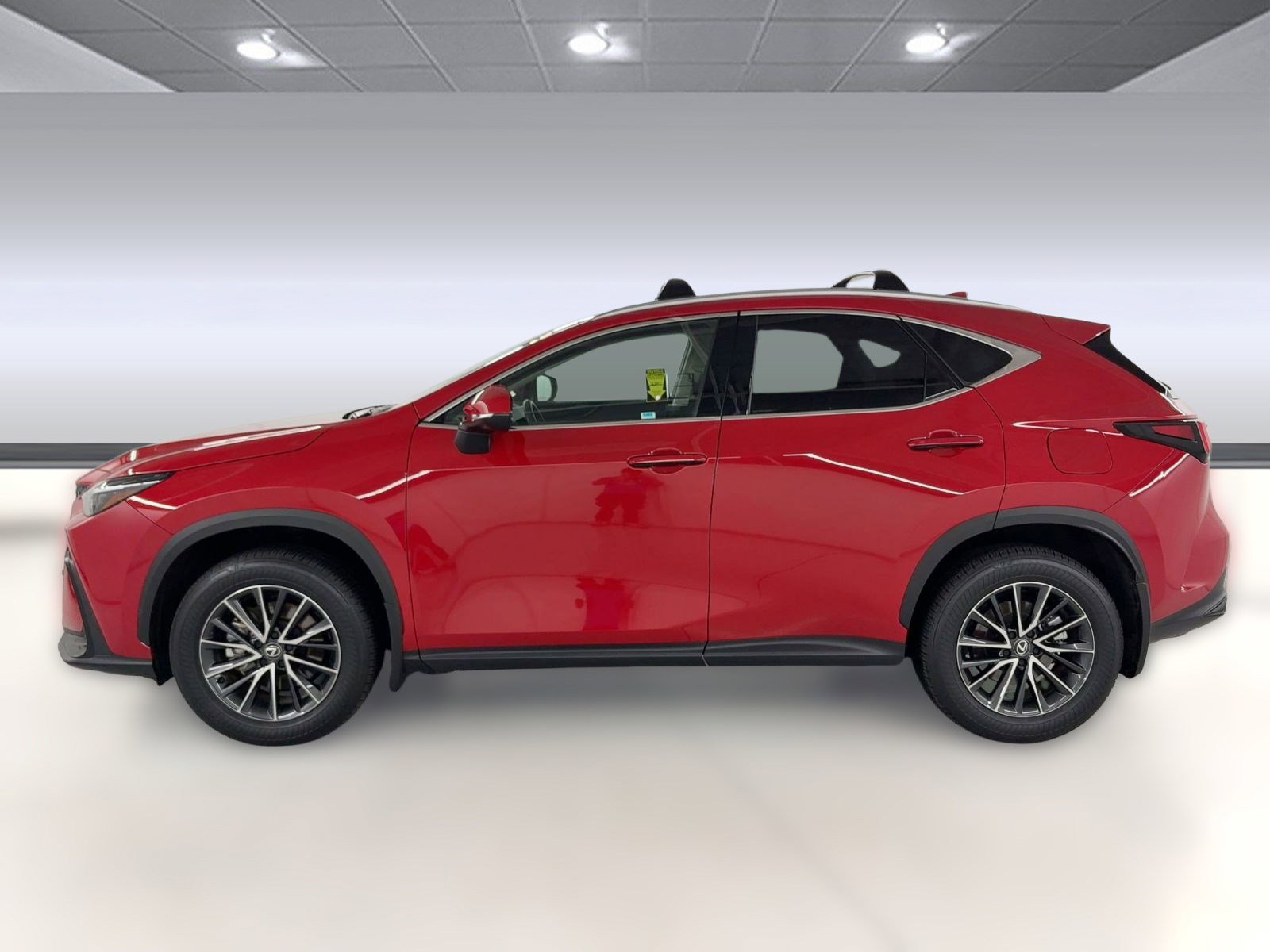 2024 Lexus NX 350h photo 2