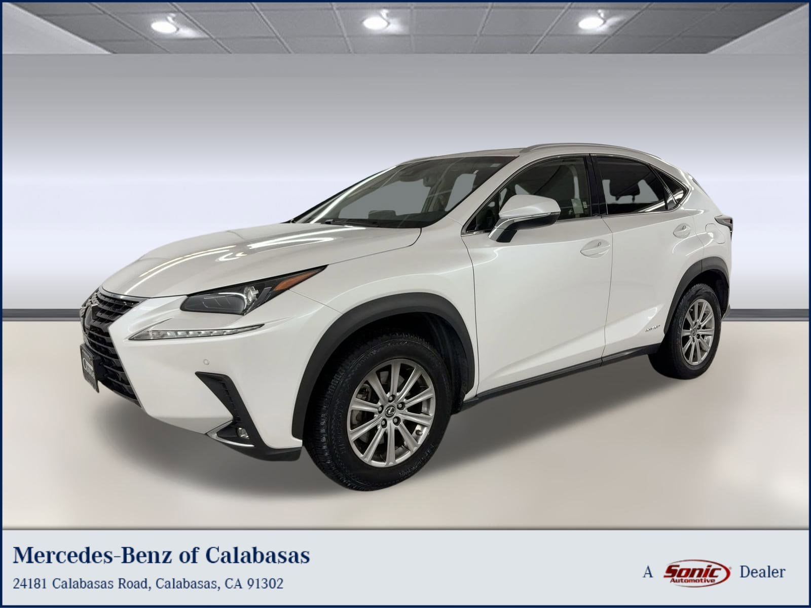 2019 Lexus NX Hybrid 300h's photo