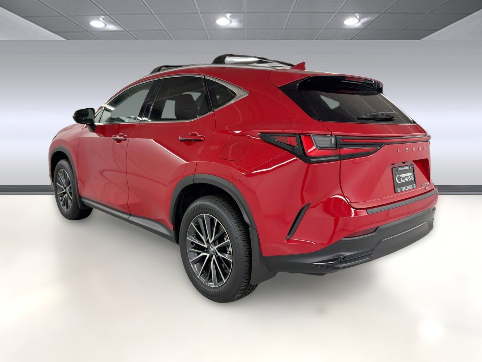 2024 Lexus NX 350h photo 3