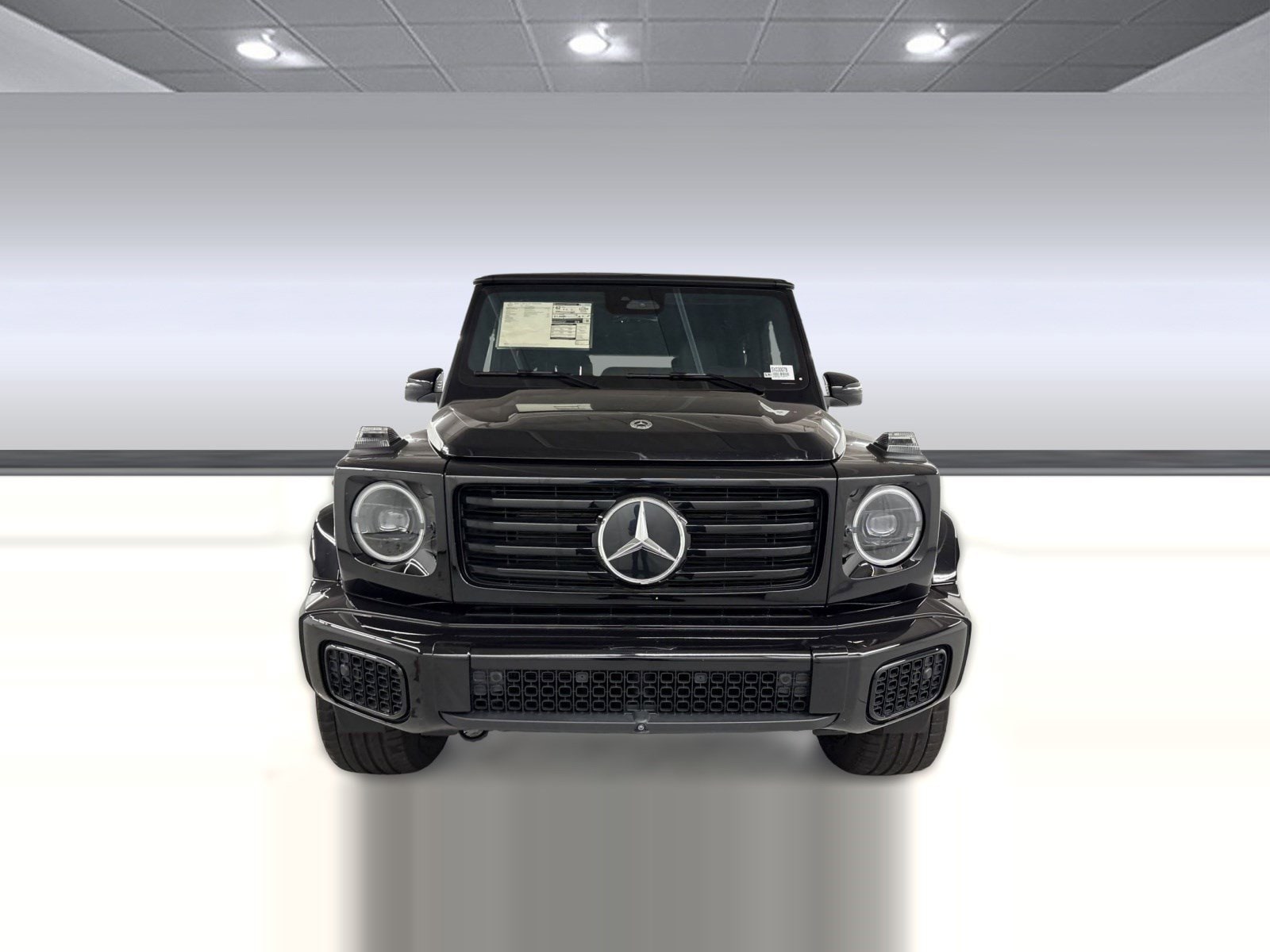 2025 Mercedes-Benz G-Class G580 - Photo 6