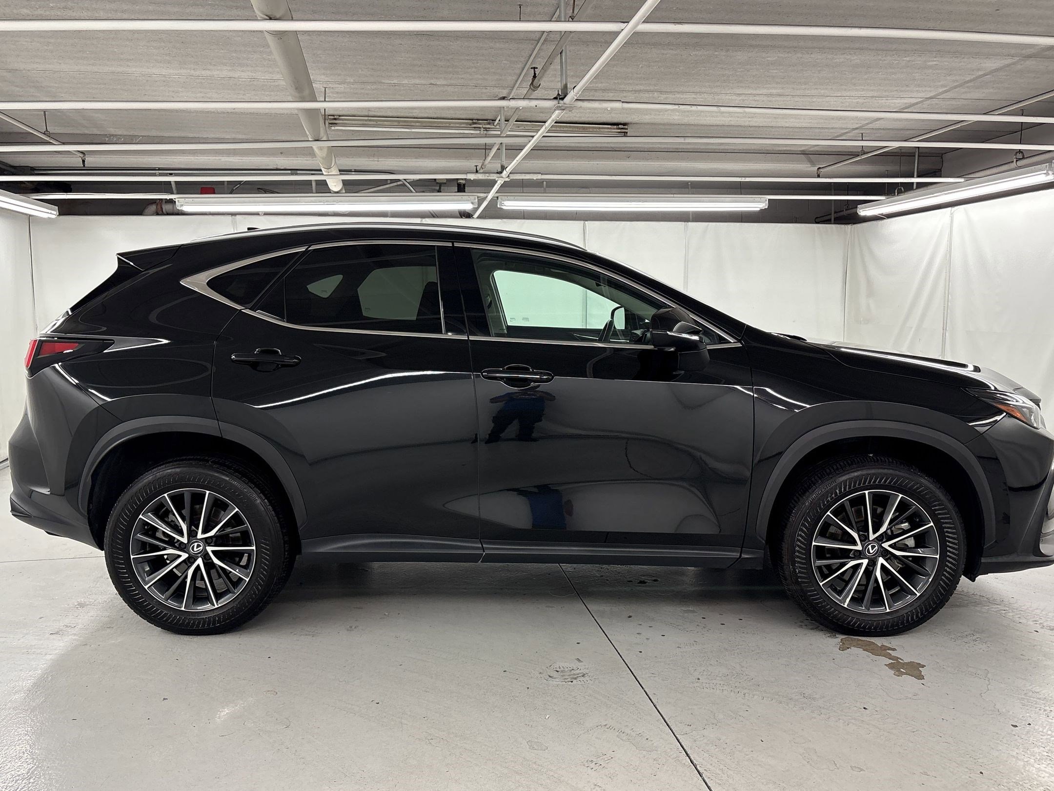 2024 LEXUS NX 350 photo 4