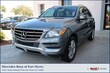 Mercedes-Benz M-Class