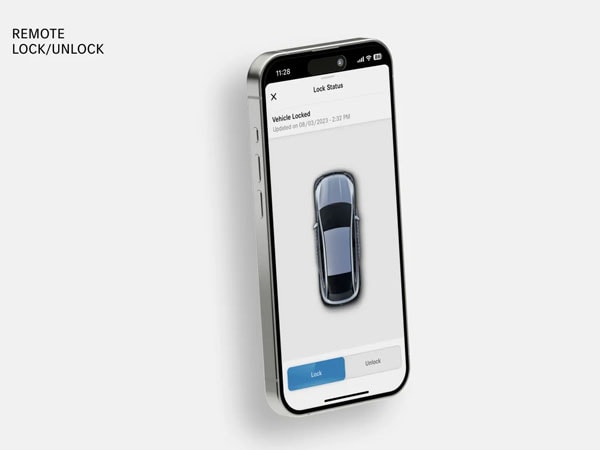 Remote Lock and Unlock