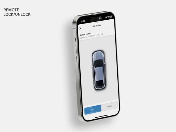 Remote Lock and Unlock