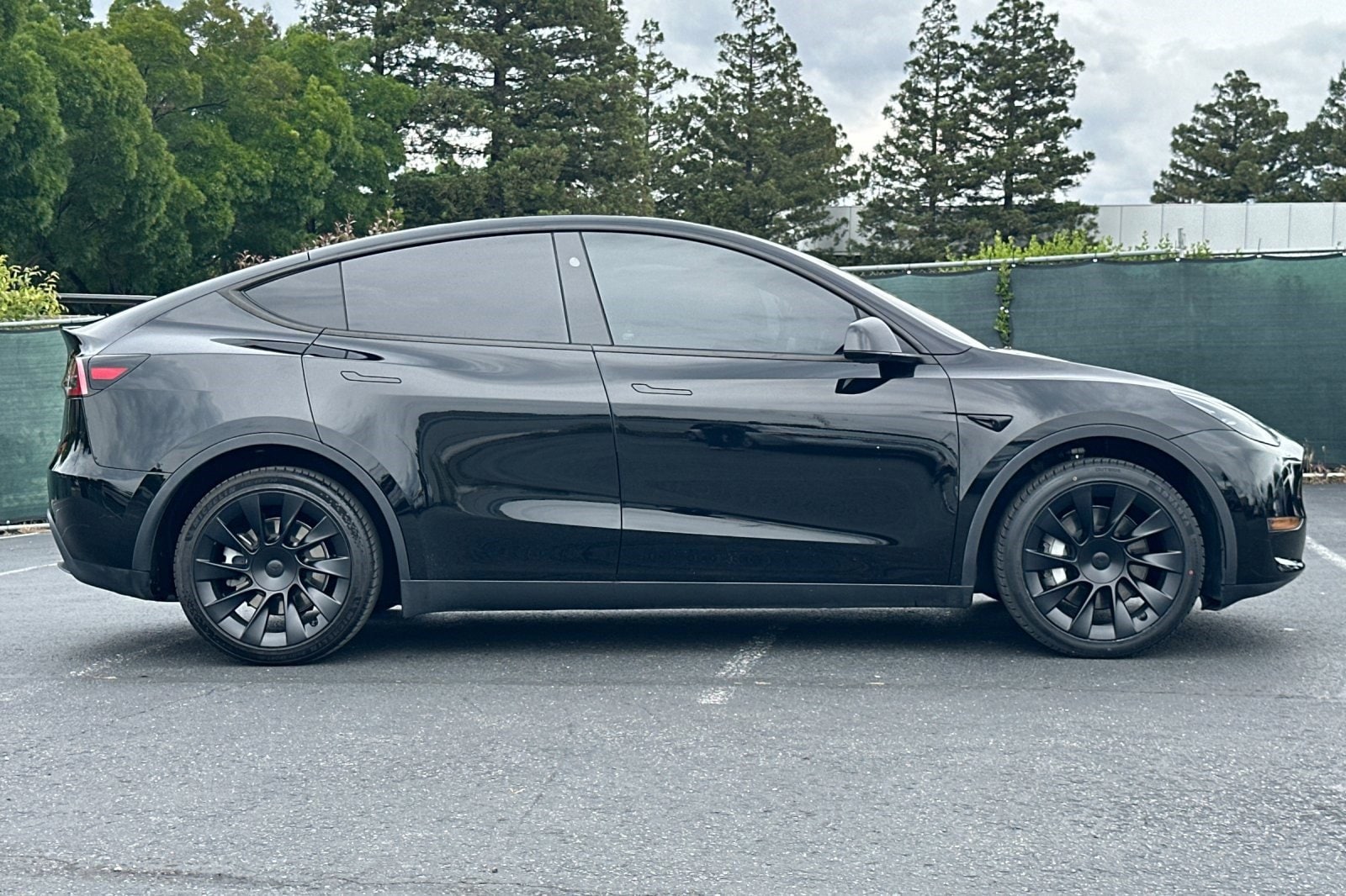 2024 Tesla Model Y Long Range AWD photo 6