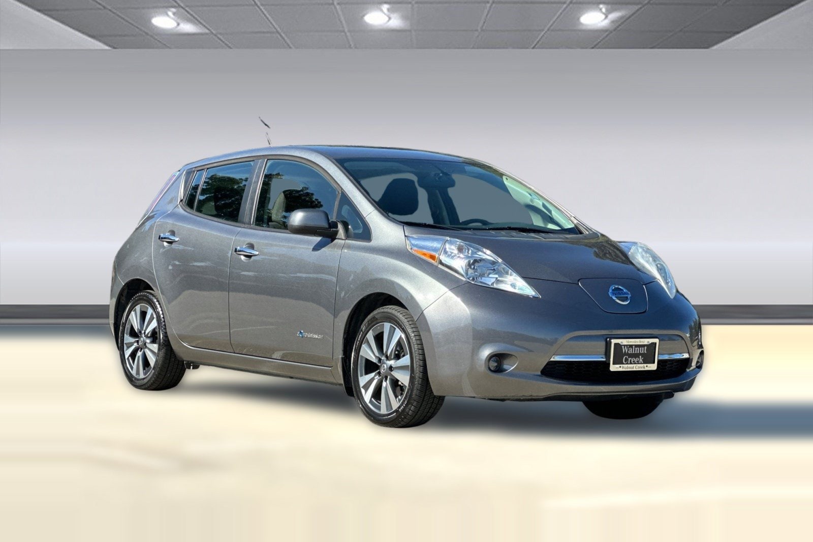 Leaf SV Hatchback Hatchback