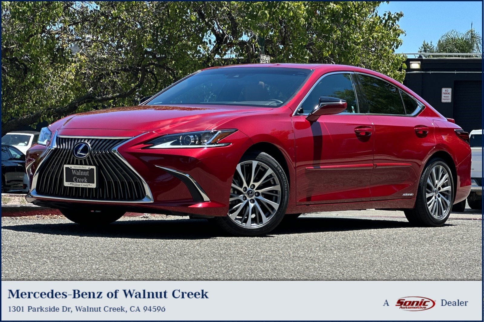 2020 Lexus ES 300h 300h's photo