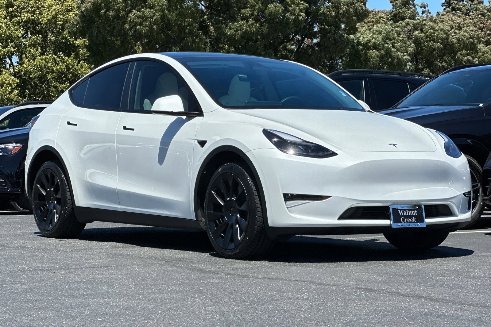 Used 2023 Tesla Model Y Long Range with VIN 7SAYGDEE6PF777209 for sale in Walnut Creek, CA