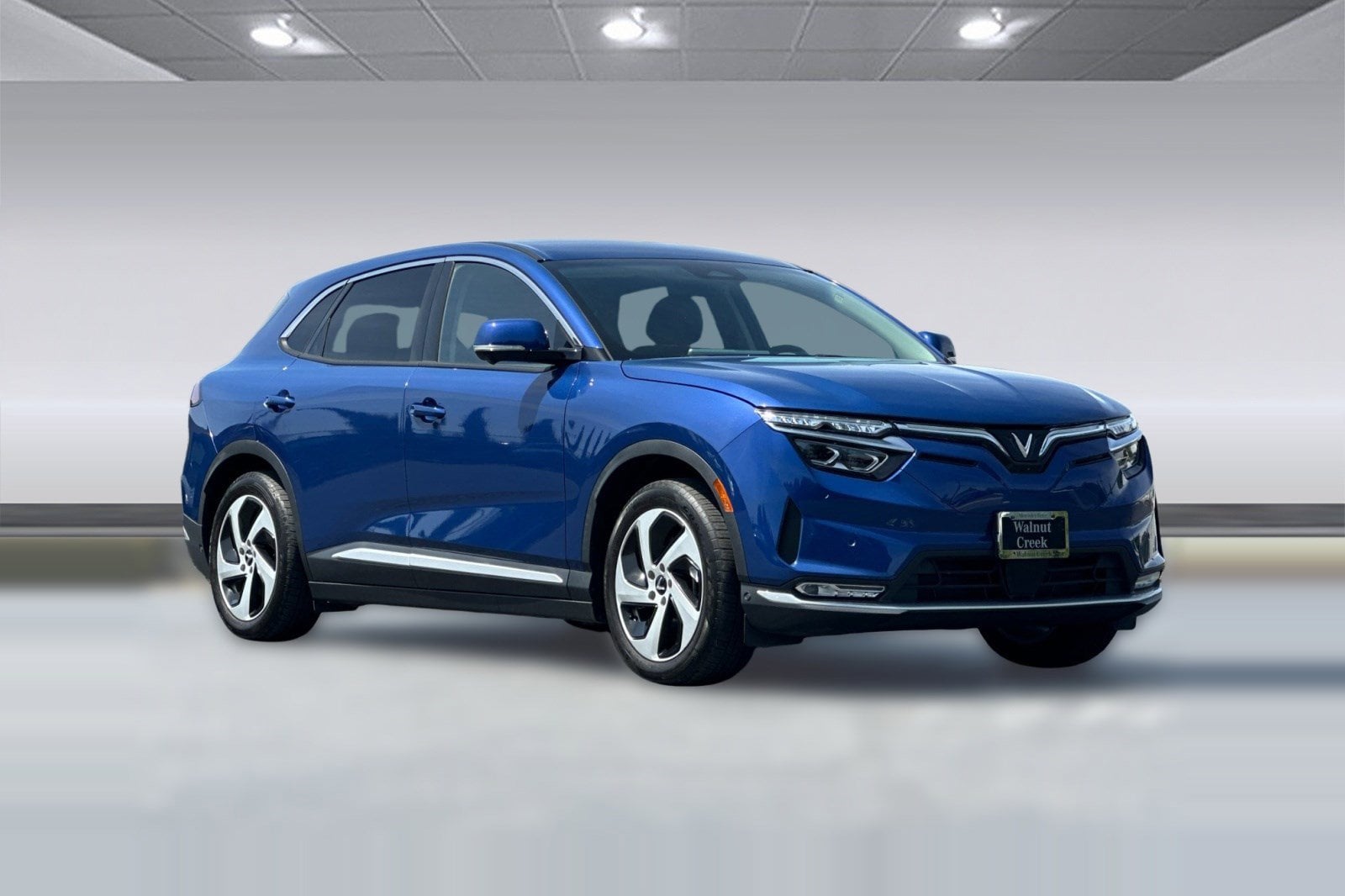 2023 VinFast VF 8 Eco AWD 82 kWh photo 6