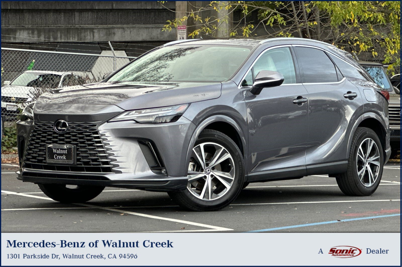 2023 Lexus RX Hybrid 350h's photo