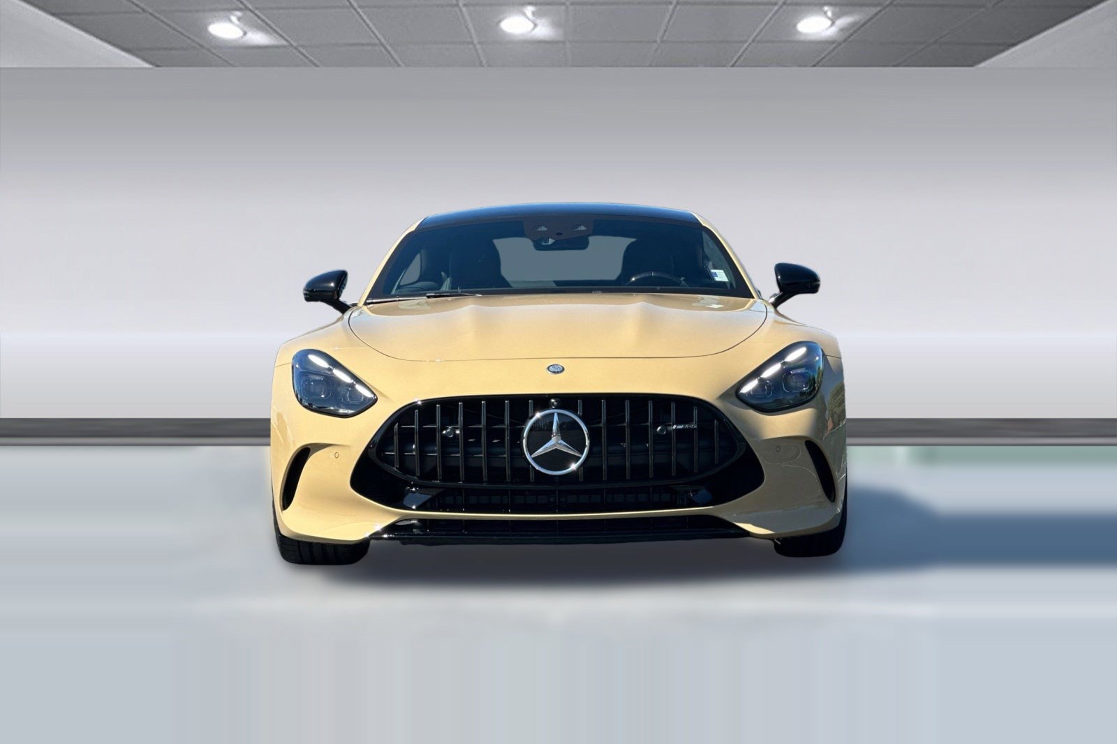 2025 Mercedes-Benz AMG GT 55 Coupe photo 5