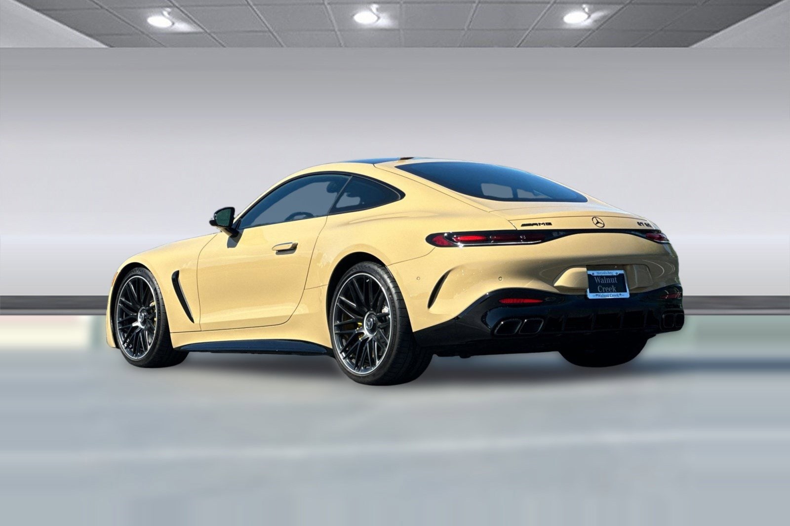 2025 Mercedes-Benz AMG GT 55 Coupe photo 2