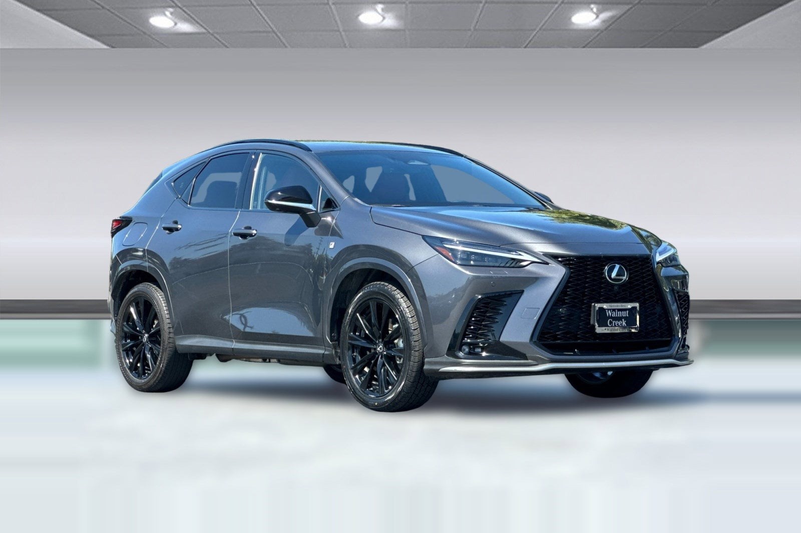 2024 LEXUS NX 450h+ F SPORT Handling AWD photo 6