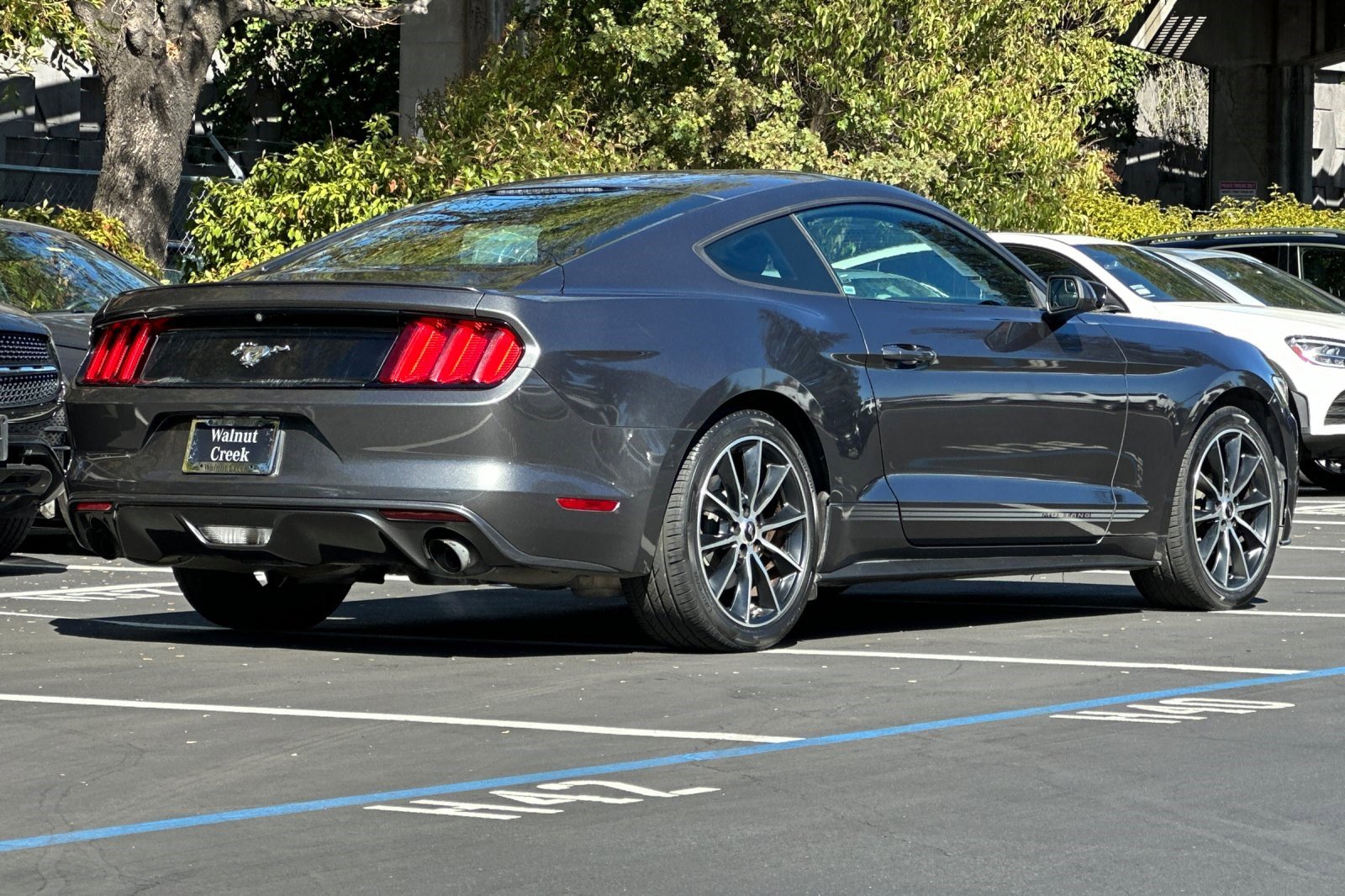 2015 Ford Mustang EcoBoost photo 3