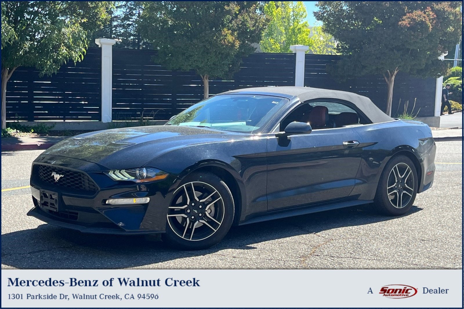 2019 Ford Mustang EcoBoost Convertible's photo