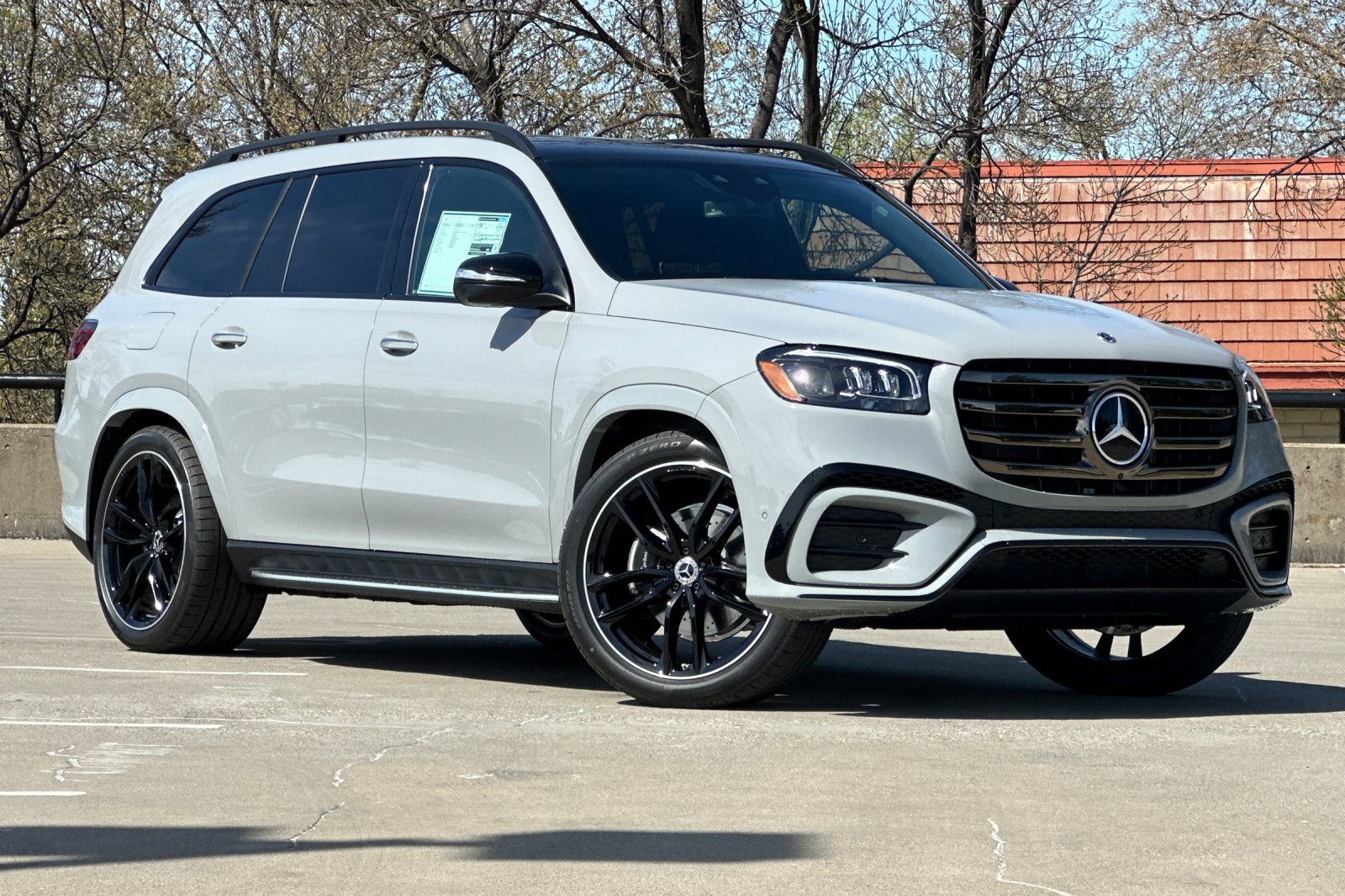 2025 Mercedes Benz GLS 580 4MATIC photo 2