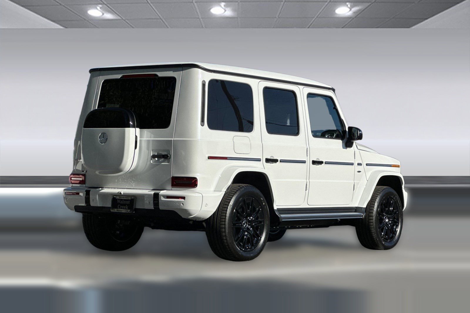 2025 Mercedes-Benz G-Class G580 - Photo 8