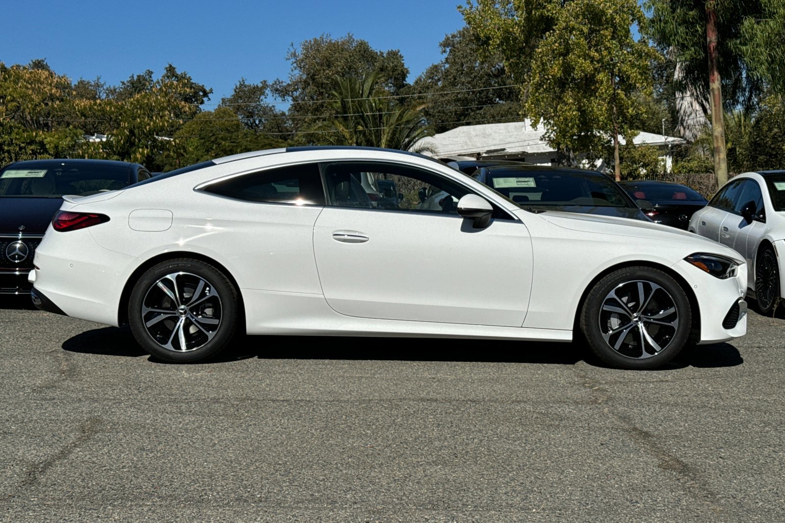 2024 Mercedes Benz CLE 300 4MATIC Coupe photo 3