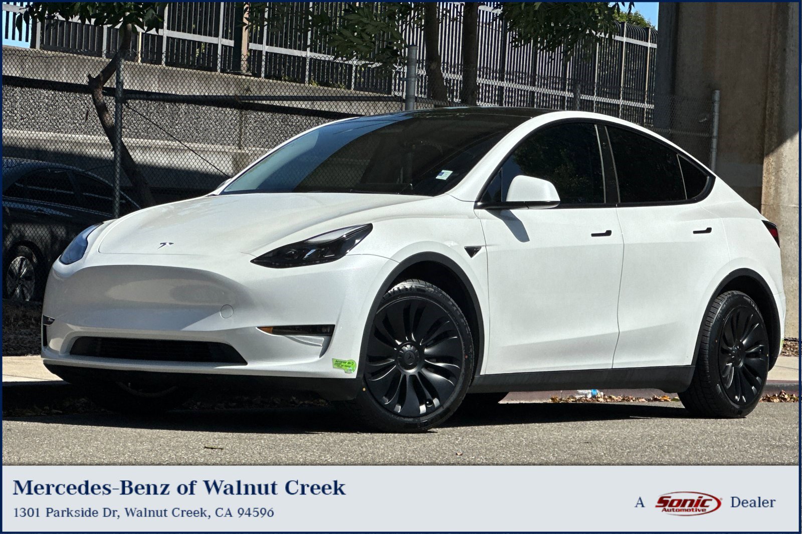 2023 Tesla Model Y's photo