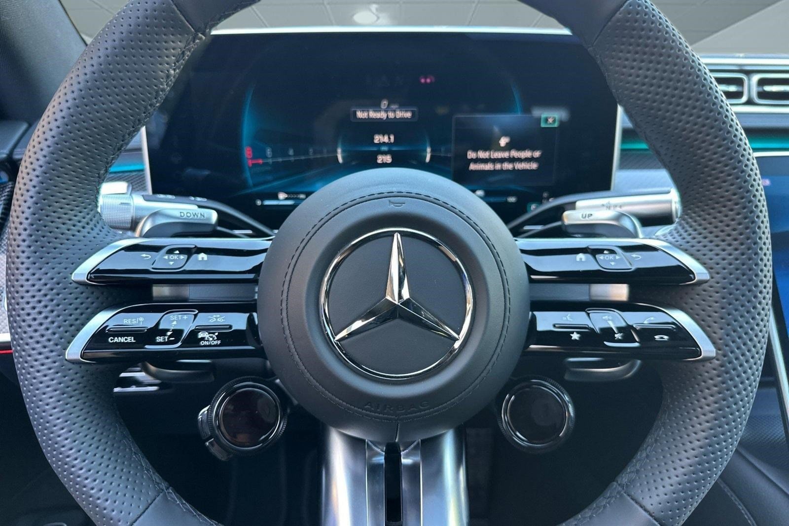 2025 Mercedes-Benz S-Class S 63 - Photo 16
