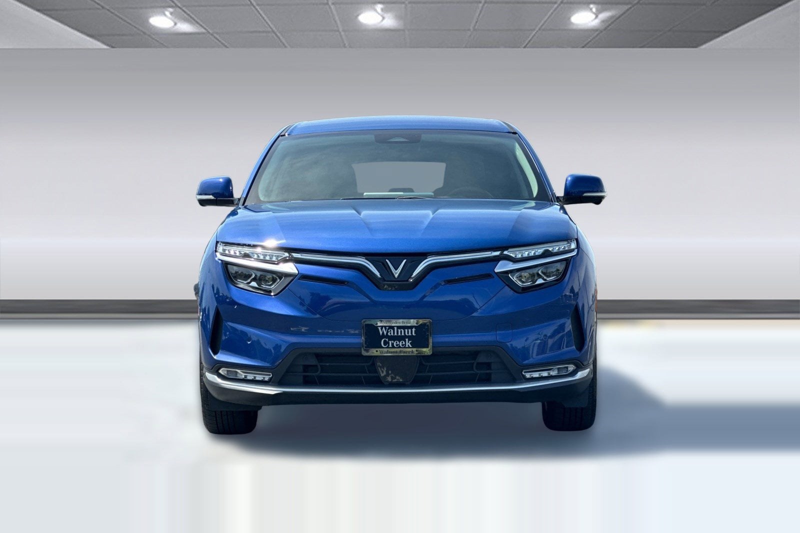 2023 VinFast VF 8 Eco AWD 82 kWh photo 5