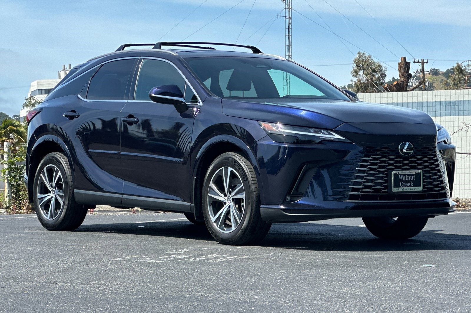 2023 LEXUS RX 350h AWD photo 6