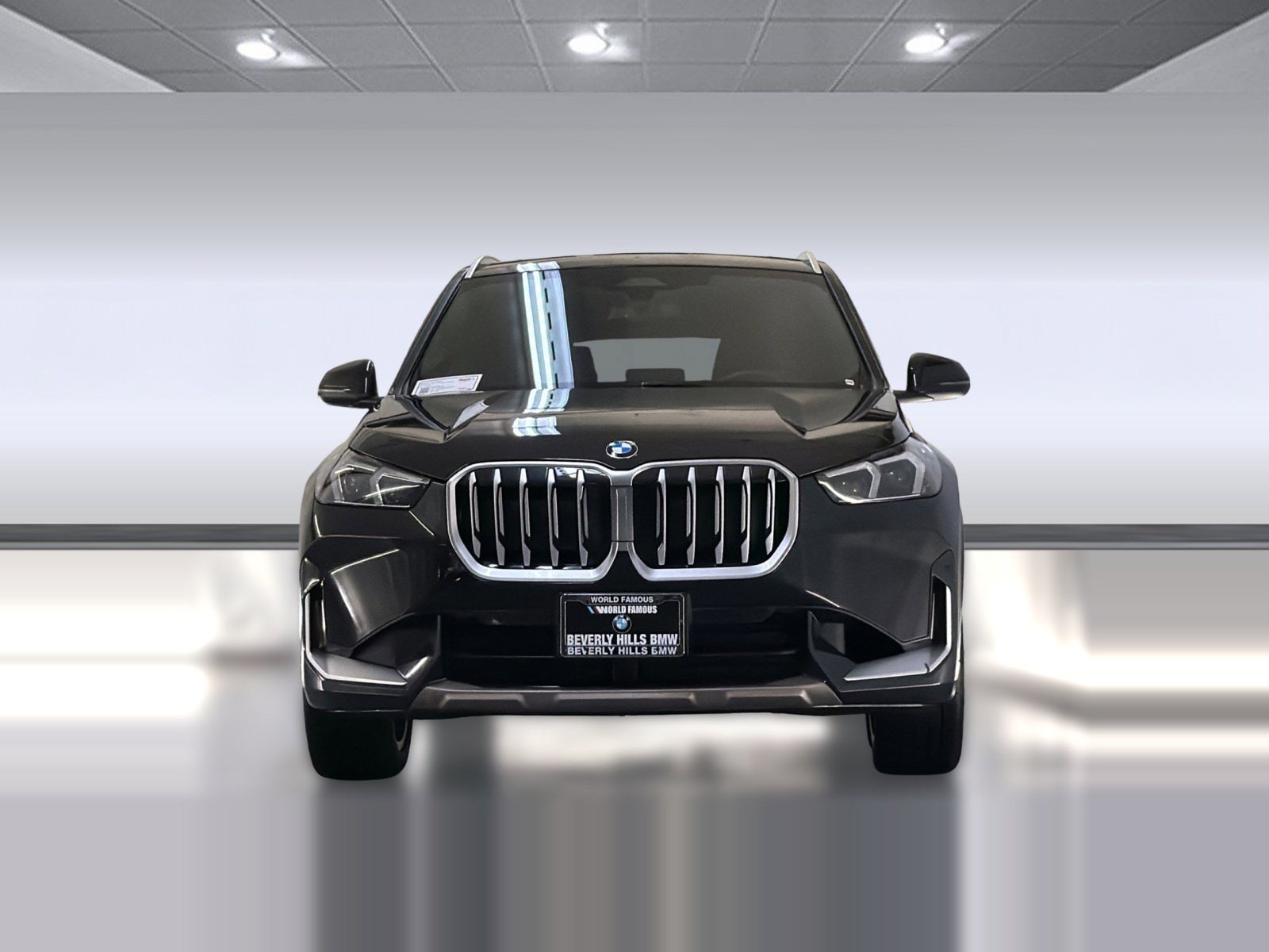 2025 BMW X1 xDrive28i photo 5