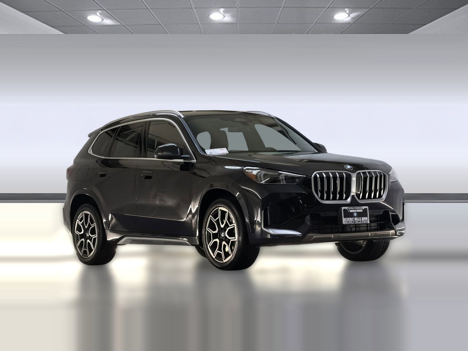 2025 BMW X1 xDrive28i photo 6