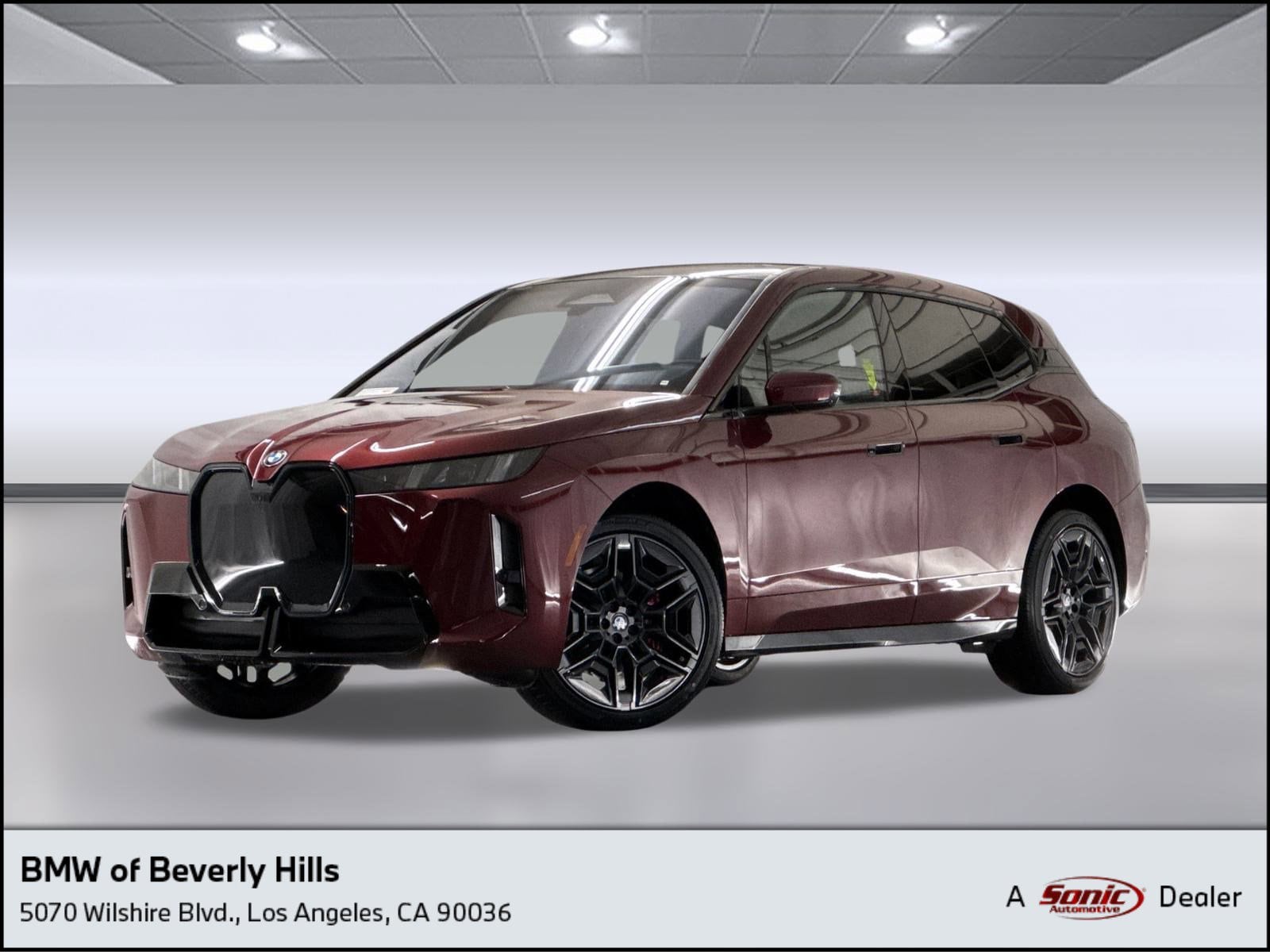 2026 BMW iX 60's photo