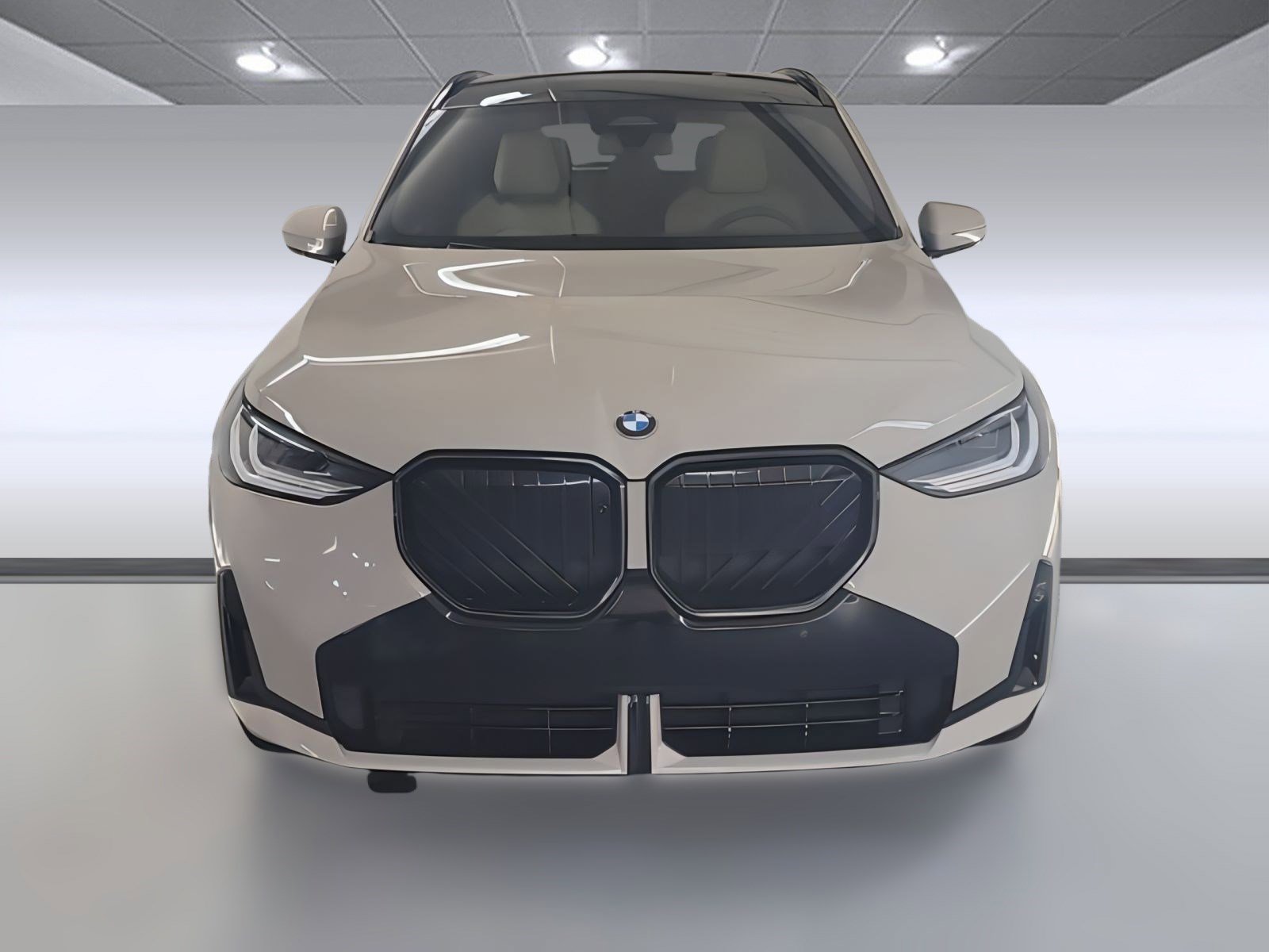 2025 Bmw X3 30x Drive photo 2