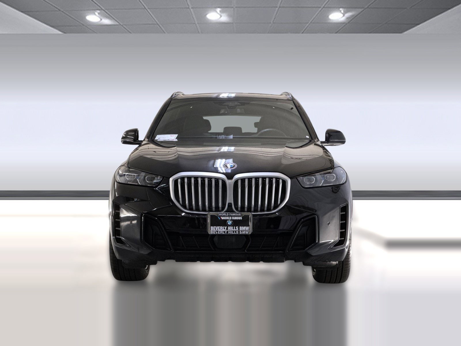 2025 BMW X5 photo 5