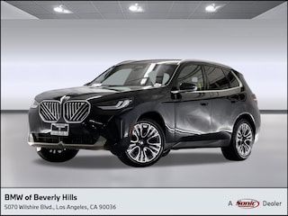2025 BMW X3