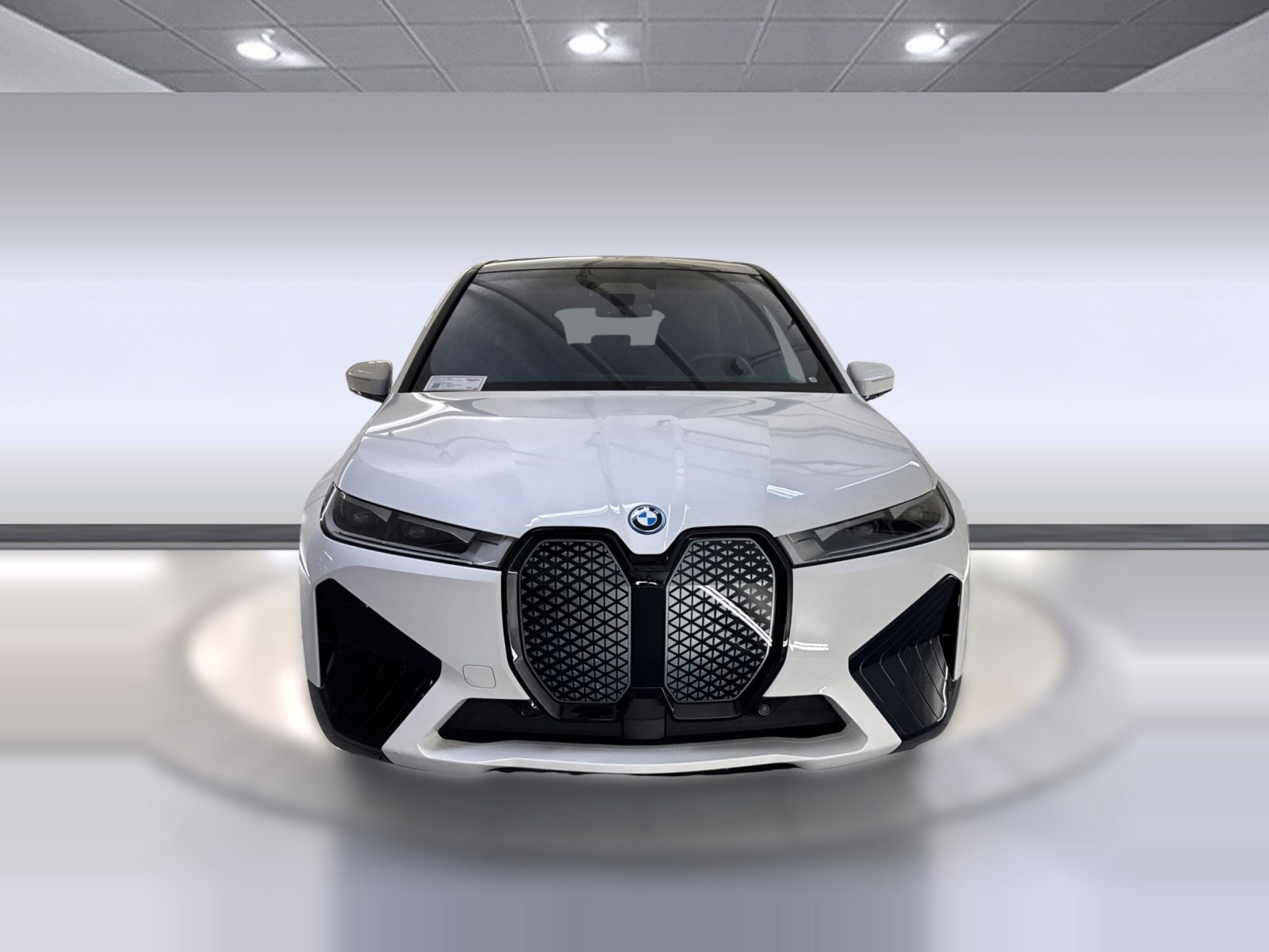 2023 BMW iX photo 5