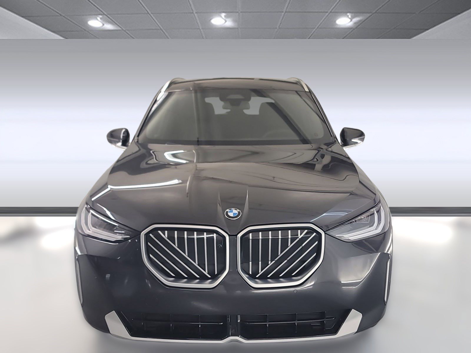 2025 Bmw X3 30x Drive photo 2