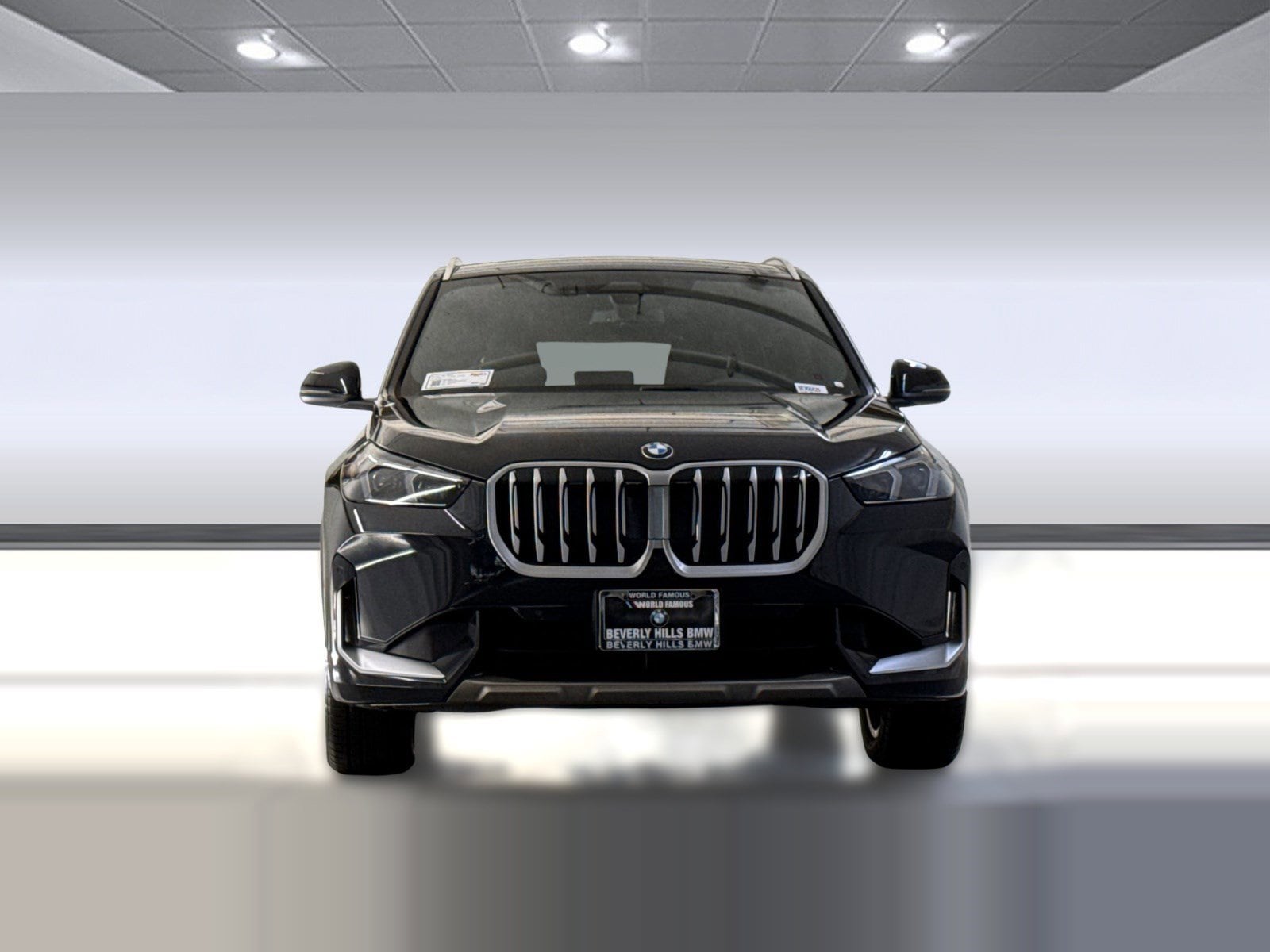 2025 BMW X1 xDrive28i photo 5