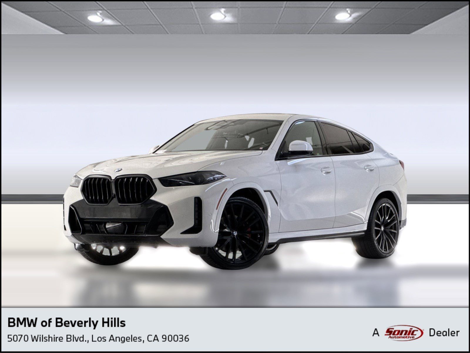 2024 BMW X6