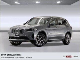 2023 BMW X3