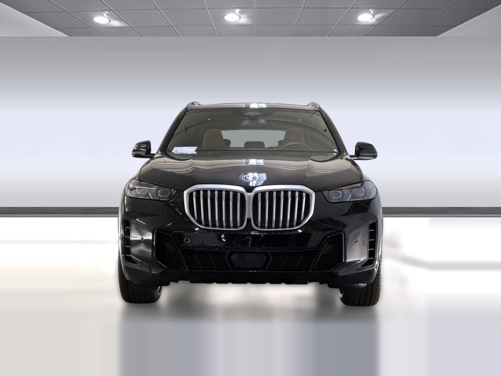 2026 BMW X5 PHEV xDrive50e photo 5